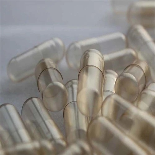 GMP Pullulan Empty Capsule